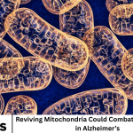 Reviving Mitochondria Could Combat Toxic Proteins in Alzheimer’s
