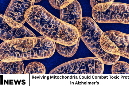 Reviving Mitochondria Could Combat Toxic Proteins in Alzheimer’s