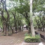 people resting in shade during hot city weather