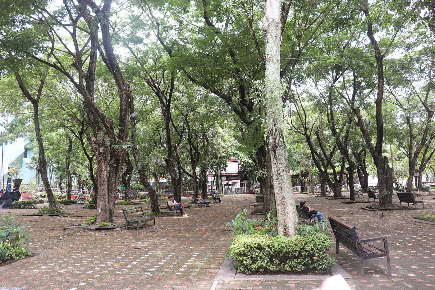 people resting in shade during hot city weather