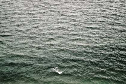 Ocean waves seen from above along a coastline